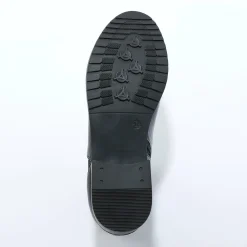 Feestelijke Schoenen|Bottines En Boots<Blancheporte Boots met elastieken en rits, goudkleurige gesp zwart
