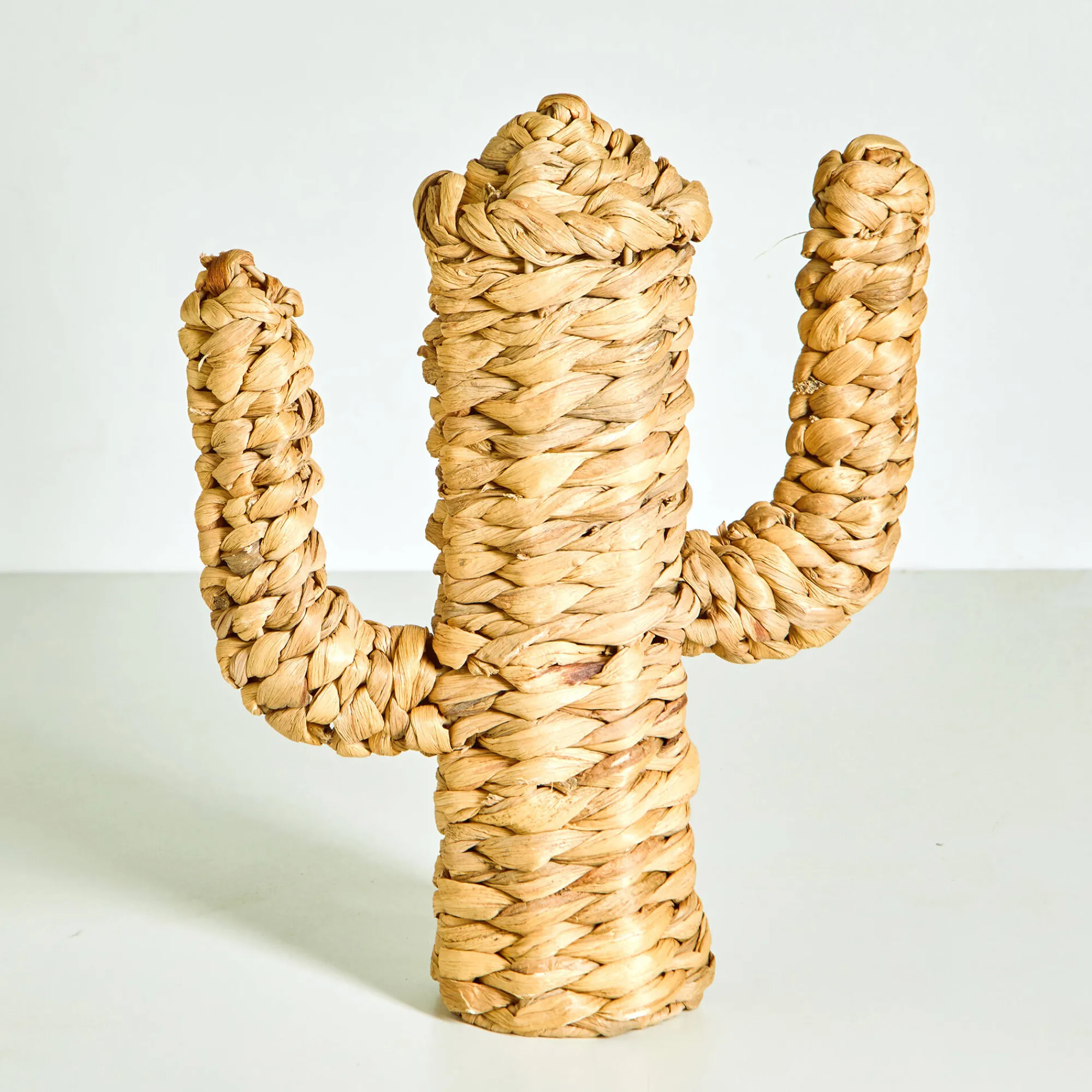 Decoratieartikel<Blancheporte Decoratieve cactus in zeegras naturel