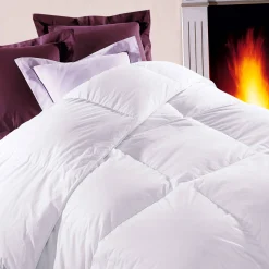 Dekbed<Dodo Dekbed met ganzendons in luxeversie, voor matig verwarmde slaapkamer wit