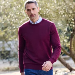 Trui En Vest<Blancheporte Effen trui met ronde hals bordeaux