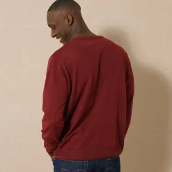 Feestoutfits Heren|Trui En Vest<Blancheporte Effen trui met V-hals bordeaux