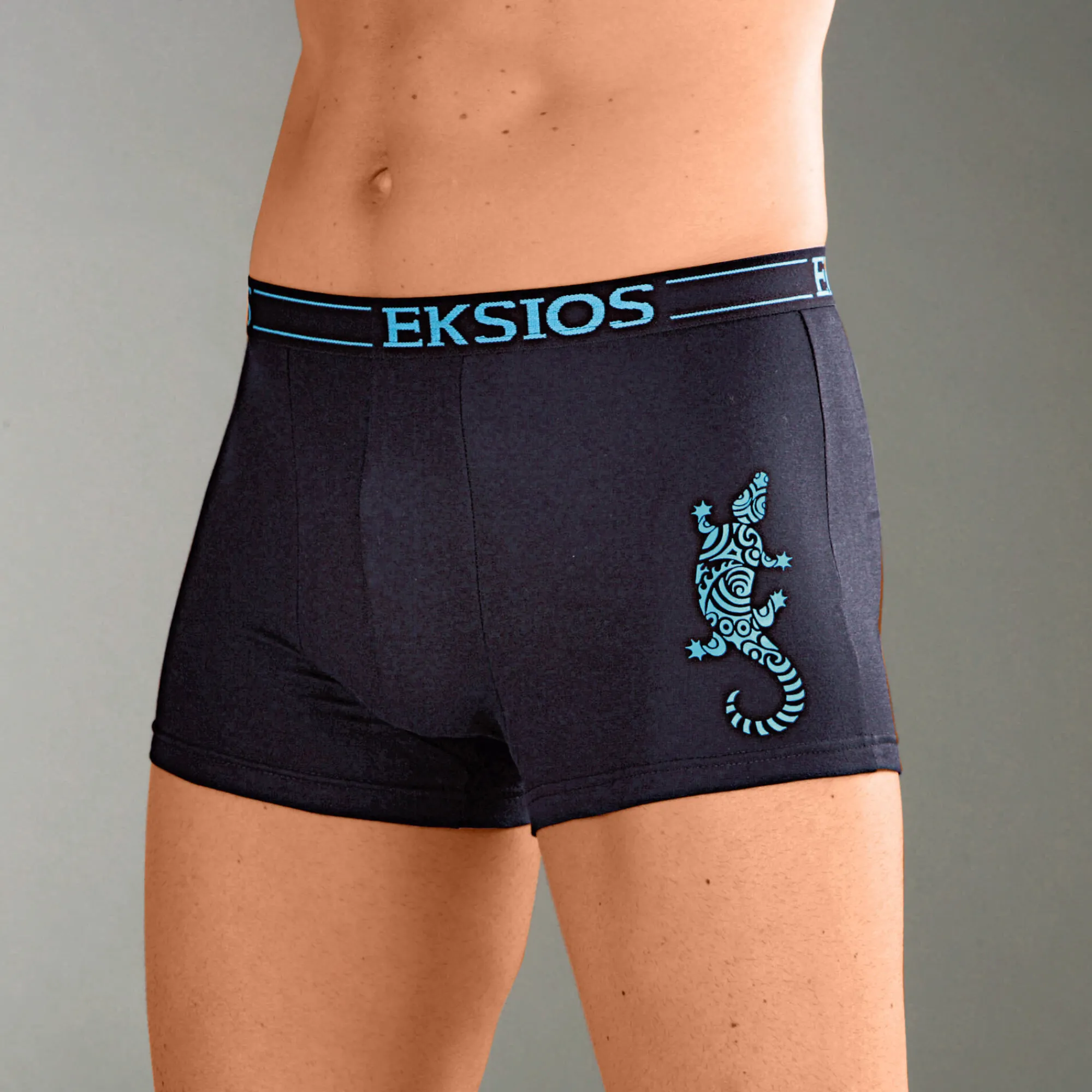 Ondergoed<Blancheporte Gesloten fantasieshorty - set van 4 zwart
