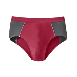 Ondergoed<Blancheporte Gesloten slip met hoge taille - set van 4 rood / grijs