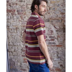 T-Shirt, Hemd En Polo<Blancheporte Gestreepte poloin piquétricot, korte mouwen pruim / honing