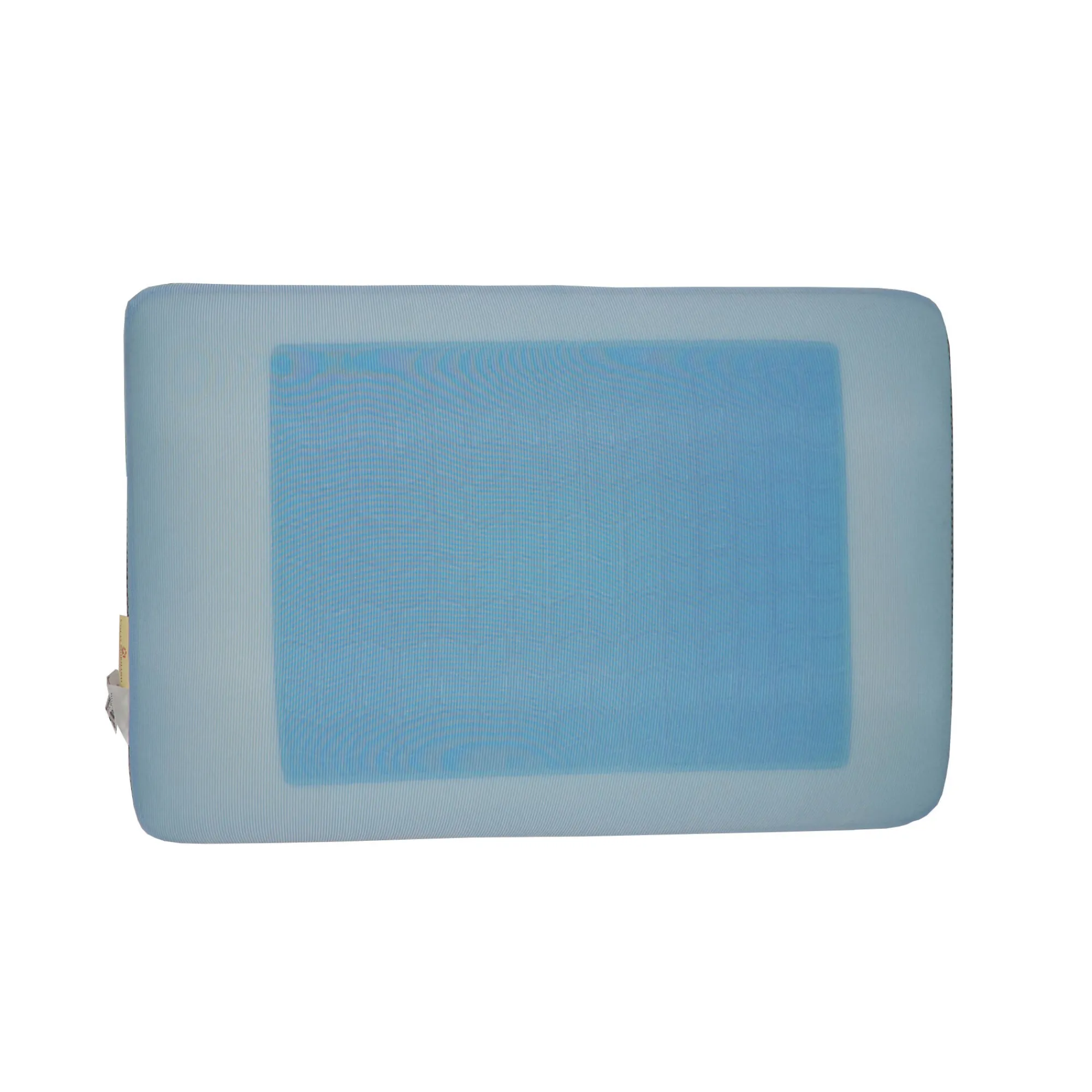 Hoofdkussen<Blancheporte Hoofdkussen in 4-seizoenenversie met vormgeheugen wit