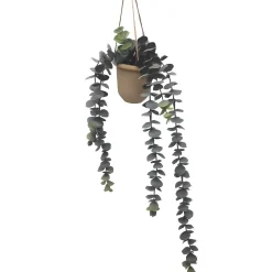 Decoratieartikel<Blancheporte Kunstplant en hangpot naturel