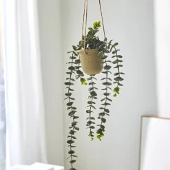 Decoratieartikel<Blancheporte Kunstplant en hangpot naturel