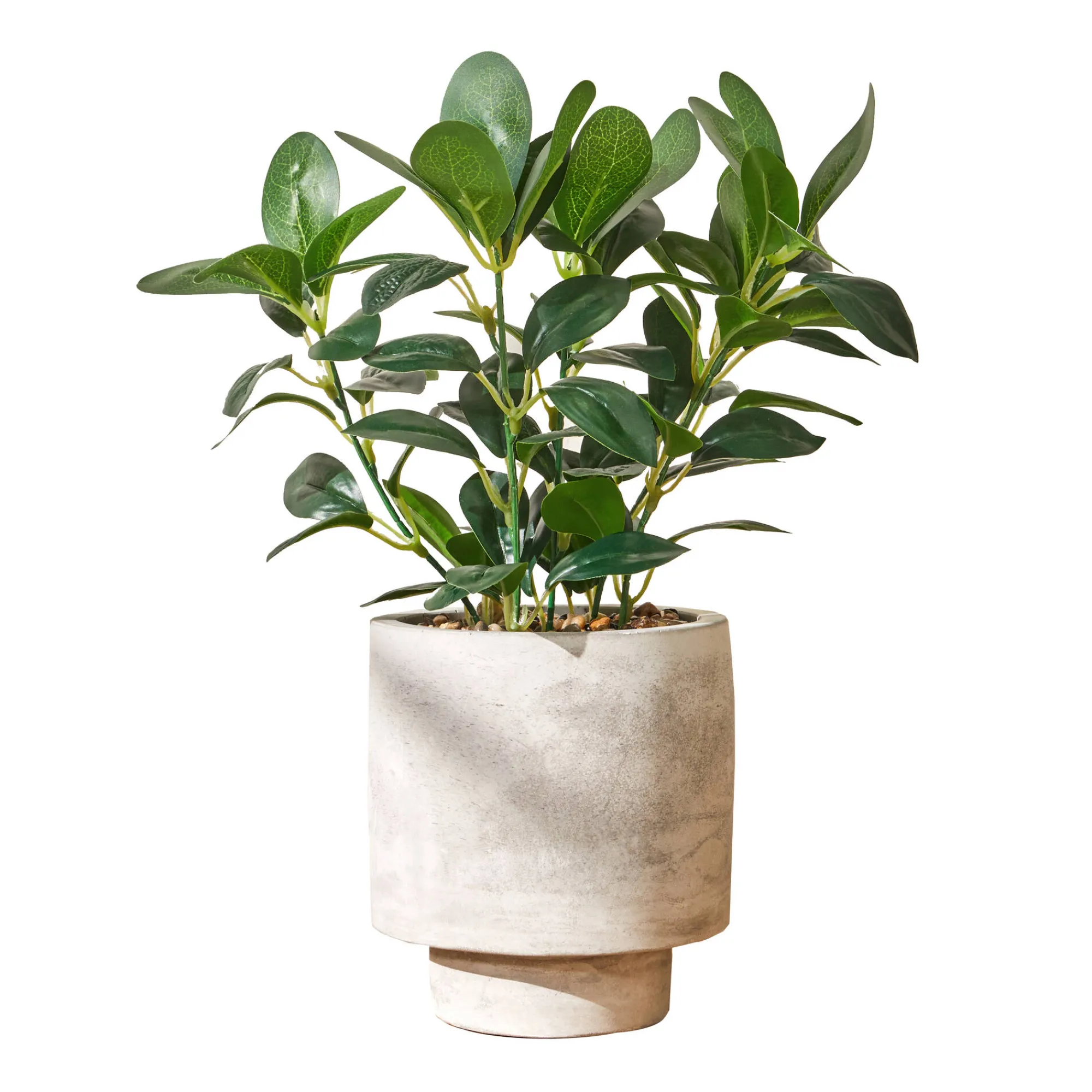 Decoratieartikel<Blancheporte Kunstplant in pot grijs