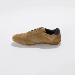 Schoenen|Schoenen Heren<Blancheporte Leren Derbies met vetersluiting en geperforeerde details taupe