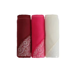 Slip En Shorty<Blancheporte Maxislip in effen stretchkatoen en kant - set van 3 pruim + fuchsia + ivoorkleur