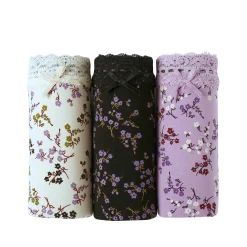 Slip En Shorty<Blancheporte Maxislip in katoen en kant - set van 3 ecru + parma + zwart