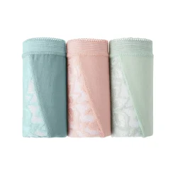 Slip En Shorty<Blancheporte Maxislip met kant - set van 3 amandel + roze + groen