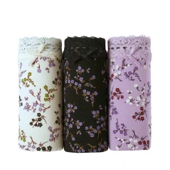 Slip En Shorty<Blancheporte Midislip in katoen en kant - set van 3 ecru + parma + zwart