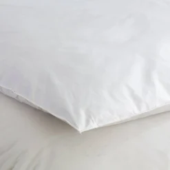 Donsdeken|Dekbed<Blancheporte Natuurlijk donsdeken met dons en pluimpjes ecru 1