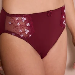 Slip En Shorty<Confidence Lingerie Slip in microvezel en geborduurde tule Caminata pruim
