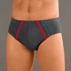 Ondergoed<Blancheporte Slip met comforttaille - set van 6 blauw / grijs