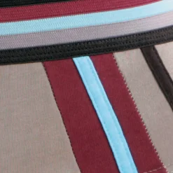 Ondergoed<Blancheporte Slip met hoge taille en contrasterende strepen - set van 6 zwart / bordeaux