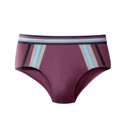 Ondergoed<Blancheporte Slip met hoge taille en contrasterende strepen - set van 6 zwart / bordeaux