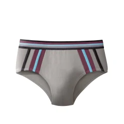 Ondergoed<Blancheporte Slip met hoge taille en contrasterende strepen - set van 6 zwart / bordeaux