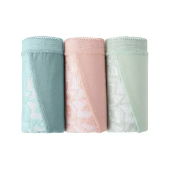 Slip En Shorty<Blancheporte Supermaxislip met kant - set van 3 amandel + roze + groen