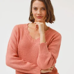 Trui En Vest<Blancheporte Trui met V-hals, patenttricot rozenhout
